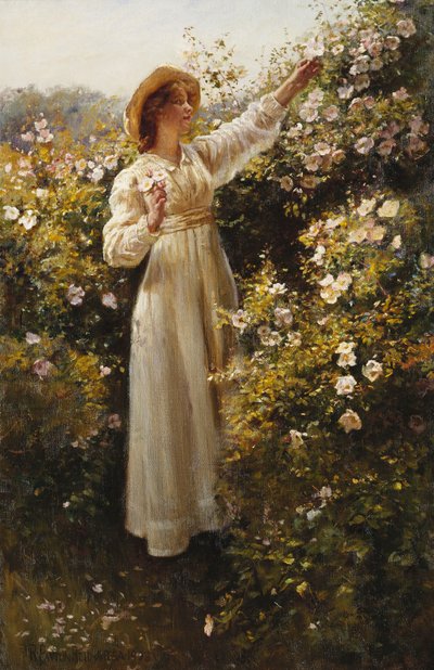Wild Rose by Robert Payton Reid