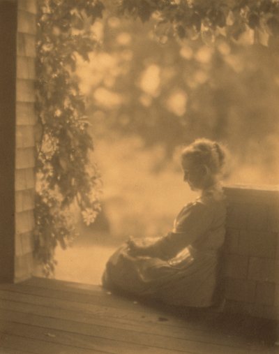 September Sun by Robert Peckham