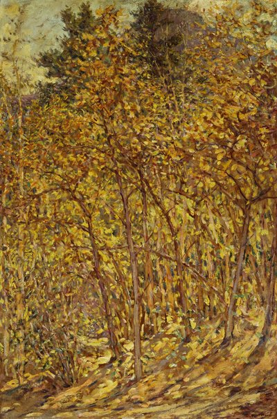 Autumn Sunlight by Robert Reid