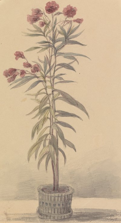 Illustrations to Shakespeare by Robert Smirke