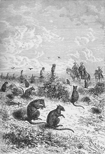 Bizcachas, c1885, 1890 by Robert Taylor Pritchett