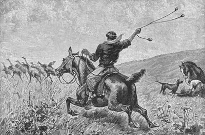 Throwing The Bolas by Robert Taylor Pritchett