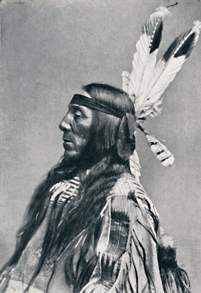 Profile View of a Sioux by Robert Wilson Shufeldt