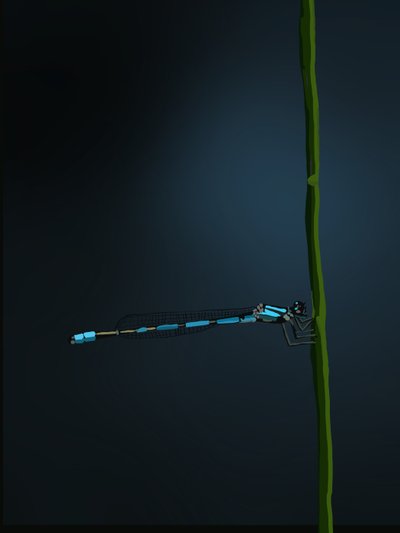 Damselfly by Roberta Murray