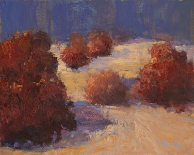 Winter Willows by Roberta Murray
