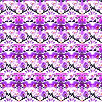 Purple Orchid Repeat by Robyn Parker