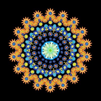 Tropical Fish Wheel 2 by Robyn Parker