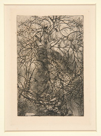 Branches by Rodolphe Bresdin