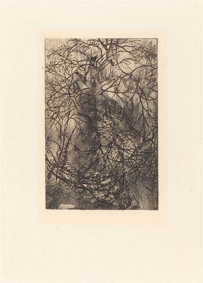 Branches by Rodolphe Bresdin