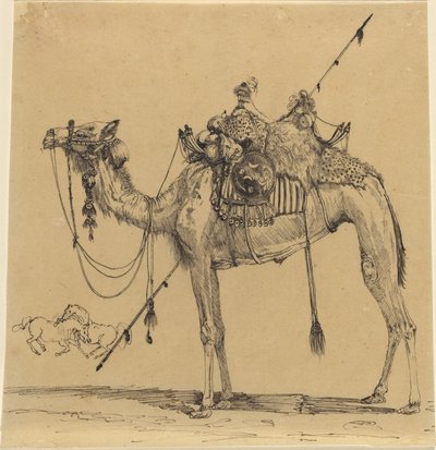 The Camel by Rodolphe Bresdin
