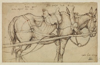 Mule in Harness by Roelandt Jacobsz. Savery