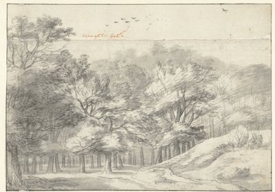 View in the Haagse Bos by Roelant Roghman