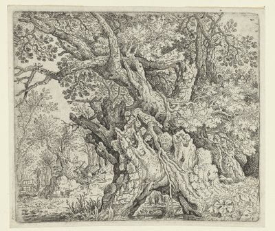 Gnarled Trees near the Water by Roelant Savery