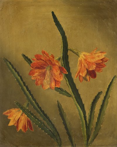 Study of Flowers by Rolinda Sharples