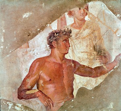 A Hero or a God by Roman