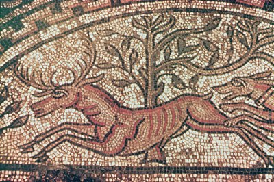 Hinton St. Mary pavement (detail) c.350 AD by Roman