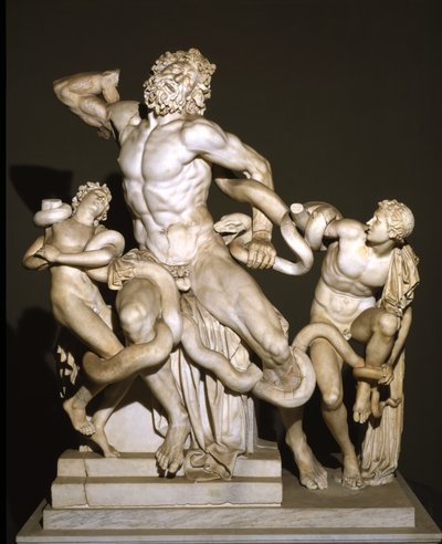 Laocoön and His Sons by Roman