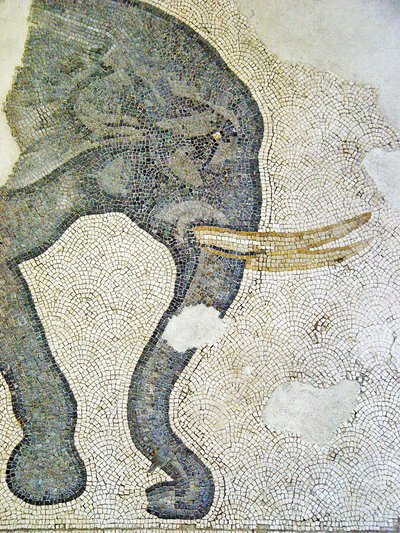 Unknown Image by Roman