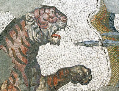 Unknown Image by Roman