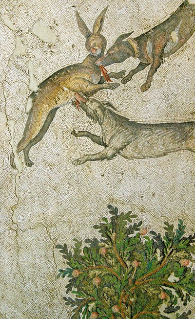 Unknown Image by Roman