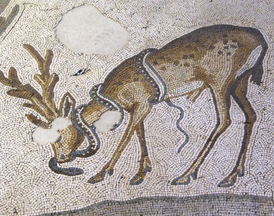 Unknown Image by Roman