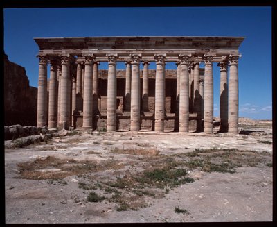 View of Roman Temple by Roman
