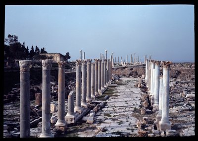 View of the Archeological Site, 2nd-4th Century by Roman