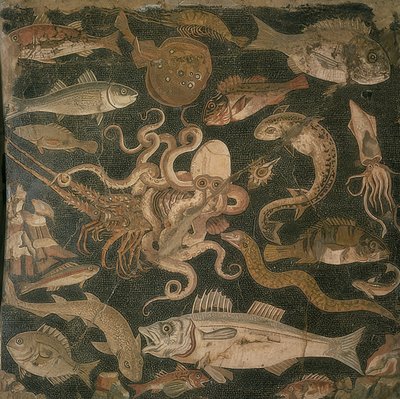 Aquatic Animals, Battle between an Octopus and a Lobster by Roman
