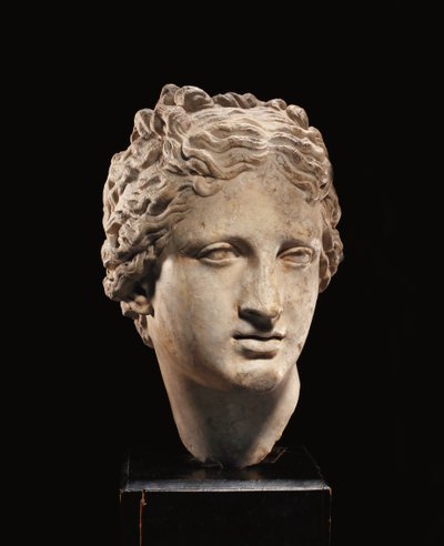 Head of Venus by Roman Roman