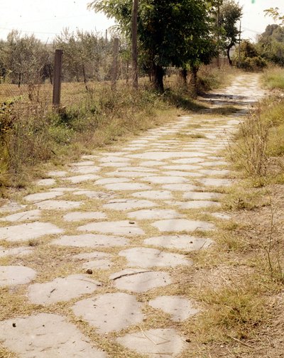 Via Flaminia, Rome by Roman Roman