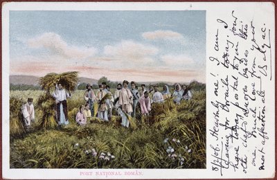 Postcard depicting Romanian peasants harvesting, 1906 by Romanian School