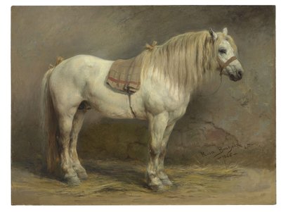 A White Horse by Rosa Bonheur