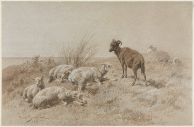 Sheep by Rosa Bonheur