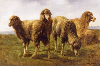 Sheep Grazing in a Meadow by Rosa Bonheur