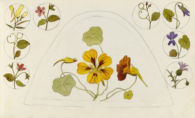 Designs with nasturtiums and other flowers by Rosa Brett
