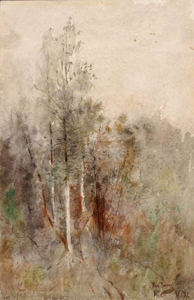 A Tree Study by Ross Turner
