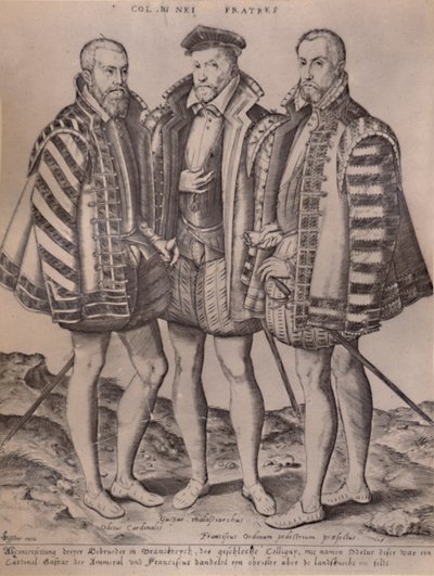 The Brothers Coligny by S Duval