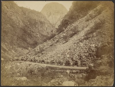 Carriages waiting at Stalheim, Naerödal by S. E. Poulton