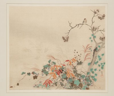 Hawk on Plants by Sakai Hoitsu
