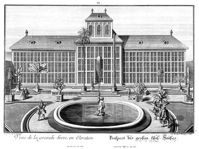 View of the Great Greenhouse by Salomon Kleiner