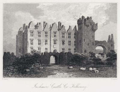 Inchmore Castle, Co Kilkenny by Samuel (after) Austin