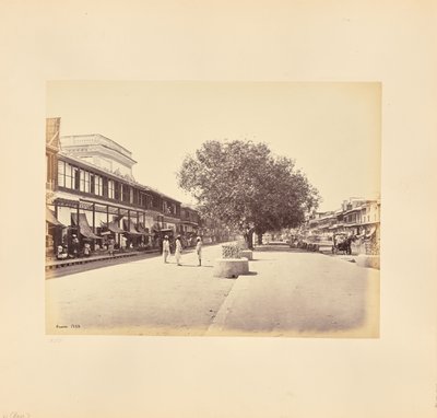 The Chandni-Chouk, Principal Street in Delhi by Samuel Bourne
