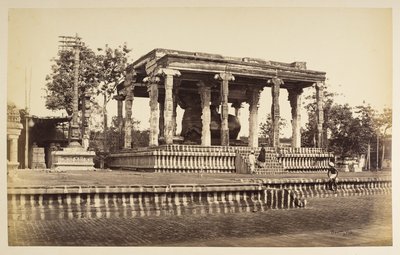 The great Stone Bull, Tanjore by Samuel Bourne
