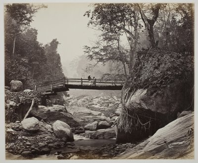 Untitled [Footbridge Over a River], c. 1865 by Samuel Bourne