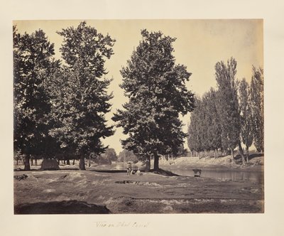View on Dhul Canal by Samuel Bourne
