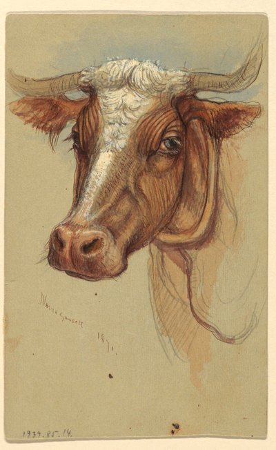 Sketches from Narragansett, Rhode Island by Samuel Colman