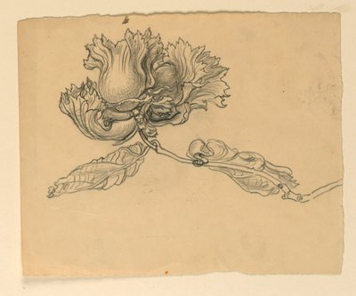 Study for Illustration: Hazelnuts by Samuel Colman