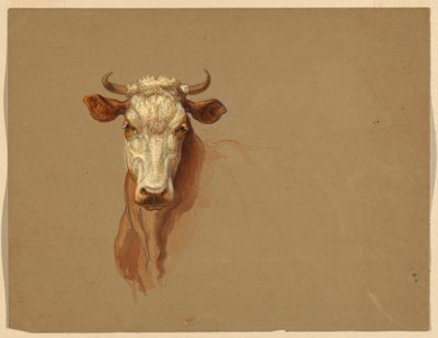 Two Studies of Cattle by Samuel Colman