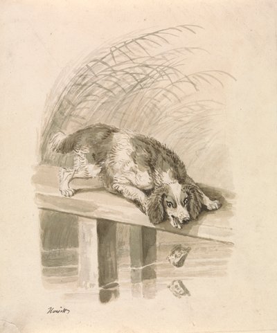 The Dog and The Shadow by Samuel Howitt