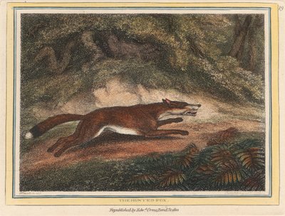 The Hunted Fox by Samuel Howitt